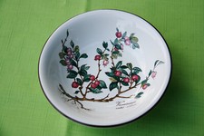 Villeroy boch botanica gebraucht kaufen  Schwäbisch Gmünd