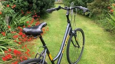 Raleigh loxley ladies for sale  HEXHAM