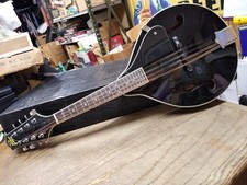 Rogue 100a mandolin for sale  Butler