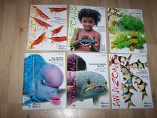 Amazonas magazin jahrgang gebraucht kaufen  Niederkrüchten