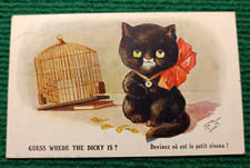 Old postcard cats d'occasion  Expédié en Belgium