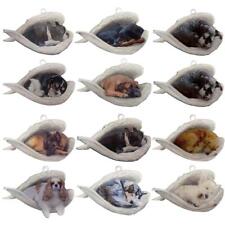Funny cute sleeping for sale  BASILDON