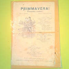 Primmavera frunnelle sciure usato  Comiso