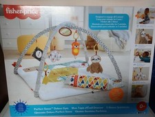 Fisher price gimnasio usato  Zanica