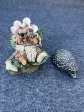 Hedgehog model baby for sale  TEWKESBURY