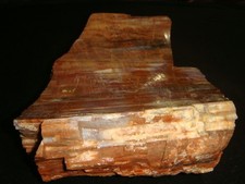 Large old rainbow for sale  Dyer