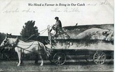 Exaggeration postcard divided for sale  Ronks