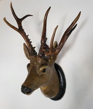 Abnormer sibirischer rehbock gebraucht kaufen Abnormer sibirischer rehbock gebraucht kaufen  Würzburg