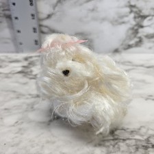 maltese toy walking dog for sale maltese toy walking dog for sale Oklahoma City