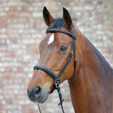 Bitless bridle star d'occasion  Expédié en France