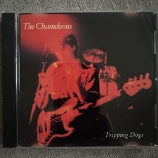 Chameleons tripping dogs for sale  SWINDON