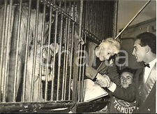 1958 roma pittore usato  Milano