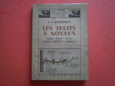 Fruits noyaux pêcher d'occasion  Livron-sur-Drôme
