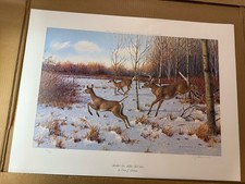 Owen gromme startled for sale  Milwaukee