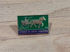 Pins pin cheval d'occasion  Châtillon-le-Duc