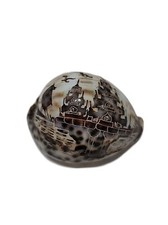 Tiger cowrie carved for sale  Biloxi