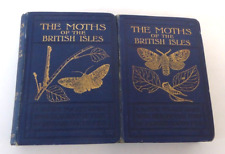 Moths british isles for sale  LETCHWORTH GARDEN CITY