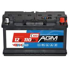 Professional agm 12v gebraucht kaufen  Dinklage