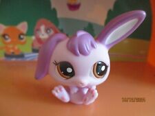 Petshop lapin belier d'occasion  Saint-Omer