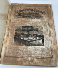 Ladies Floral Cabinet & Pictorial Home Companion Magazines | Antique 1873 segunda mano  Embacar hacia Mexico
