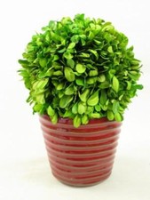 Vaso de cerâmica com nervuras de cranberry com planta artificial verde decoração para casa 4,5" de altura, usado comprar usado  Enviando para Brazil