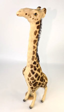 Stretched giraffe coarse for sale  Amboy