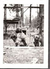 Photograph 1920 farm for sale  Siletz