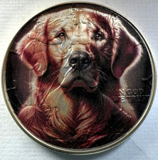 Golden retreiver american for sale  Issaquah
