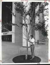 1977 press photo for sale  Memphis