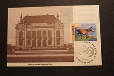 Carte postale chevaux d'occasion  Vallon-Pont-d'Arc