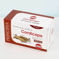 Fungo cordyceps sinensis usato  Carmignano