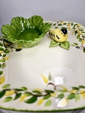Adorable finch cali for sale  Williamsburg