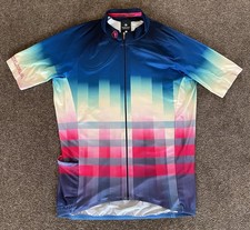 Endura equalizer limited for sale  YORK