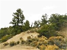 12.65 acres 800.00 for sale  Fort Garland