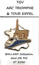 Superbe pin tgv d'occasion  Brive-la-Gaillarde