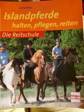 Islandpferde pflegen reiten gebraucht kaufen  Nittel