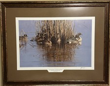 Evening sprig george for sale  Pea Ridge