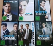 White collar dvd gebraucht kaufen  Berlin