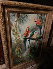Vintage tropical parrot for sale  Mission