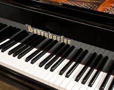 New 2022 bosendorfer for sale  Arverne