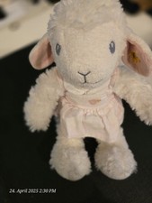 Steiff träum süß gebraucht kaufen  Scheyern