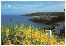 Erquy pointe heussaye d'occasion  France
