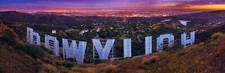 Peter lik hollywood for sale  Los Angeles