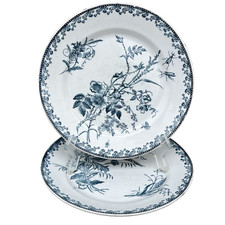 Assiettes pexonne fleurs d'occasion  Granville