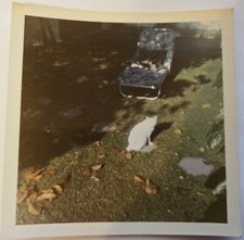 Vintage found photo for sale  Palos Heights