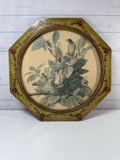 Vintage framed bird for sale  Chandler