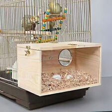 Parrot budgie lovebirds for sale  UK