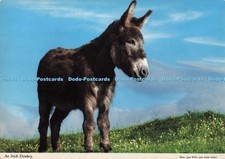 D298287 irish donkey. for sale  WARLINGHAM