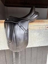 Fairfax gareth dressage for sale  HITCHIN