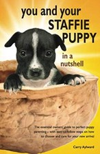 Staffie puppy nutshell for sale  UK